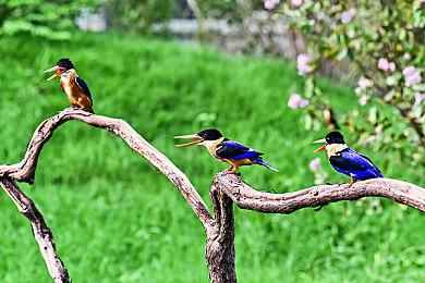 Rockstar并未公布《GTA6》 这并不令人意外